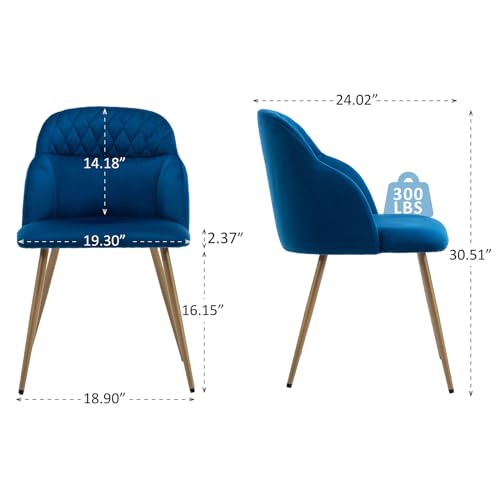 Blue Velvet Dining Chairs Set of 2 with Gold Metal Legs