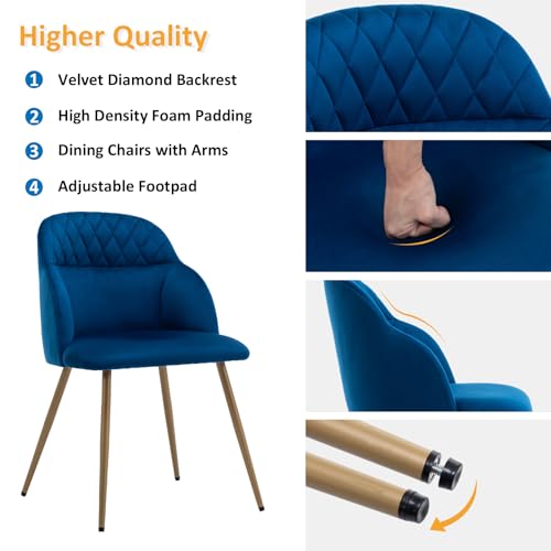 Blue Velvet Dining Chairs Set of 2 with Gold Metal Legs