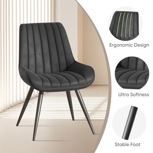 Modern Dining Chairs Set of 2 for Kitchen- Black