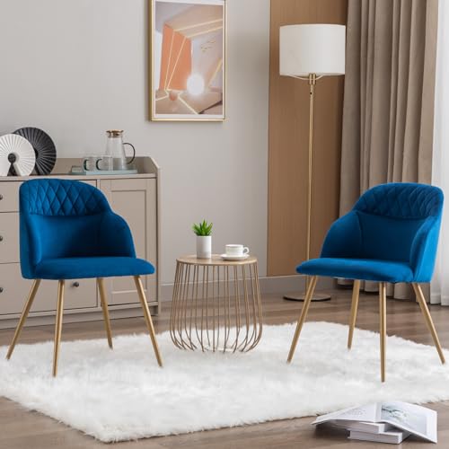 Blue Velvet Dining Chairs Set of 2 with Gold Metal Legs