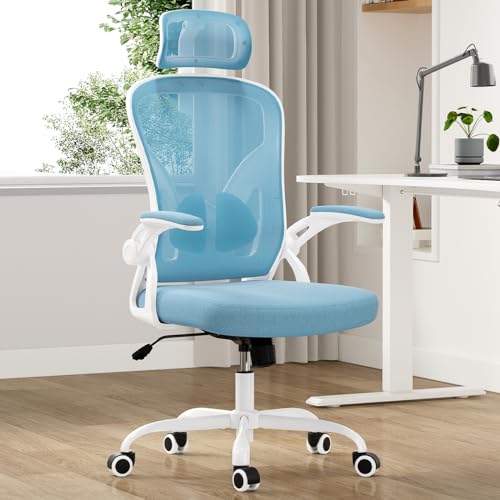 Farini Ergonomic Office Chair with Headrest and Lumbar Support (Blue)