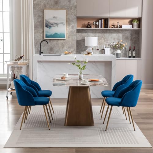 Blue Velvet Dining Chairs Set of 2 with Gold Metal Legs